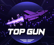Top Gun Top Gun